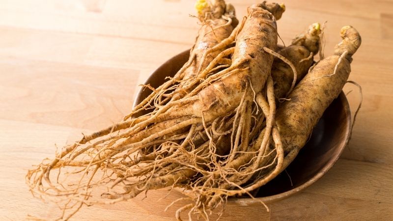 Nhân sâm có nhiều công dụng tiềm năng cho sức khỏe