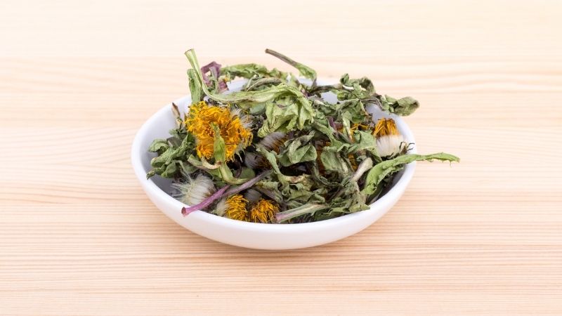 Cây bồ công anh có nhiều lợi ích sức khỏe nhờ các thành phần dinh dưỡng phong phú