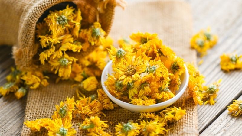 Hoa cúc có chứa nhiều vitamin, khoáng chất và các chất chống oxy hóa 