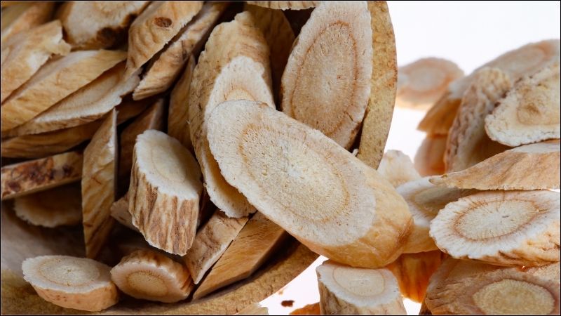 Hoạt kỳ chứa nhiều hoạt chất có lợi với sức khỏe