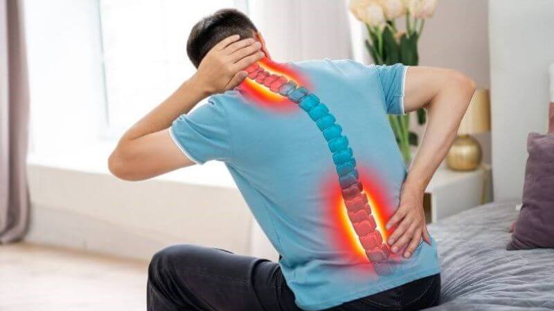 Cúc la mã giúp ngăn ngừa loãng xương