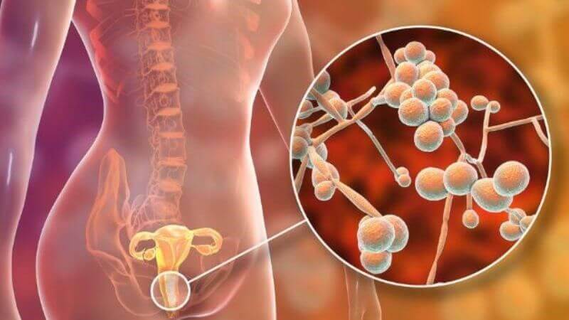 Các sản phẩm vệ sinh âm đạo có chiết xuất từ cúc la mã giúp tăng khả năng làm sạch