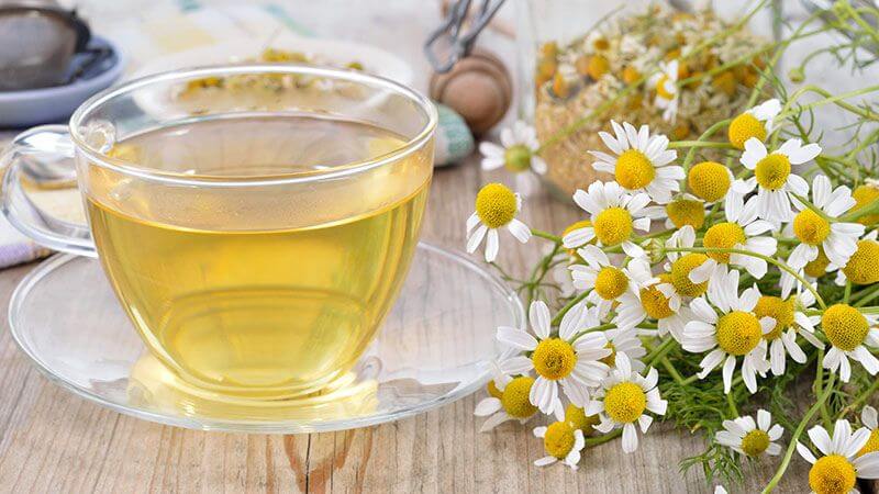 Cần cẩn trọng khi sử dụng trà hoa cúc với các thuốc điều trị khác