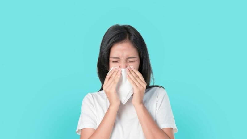 Sử dụng trà cúc la mã giúp ngăn ngừa cảm lạnh