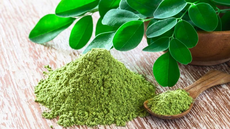 Bột chùm ngây giúp cải thiện tình trạng bệnh Alzheimer và chứng mất trí