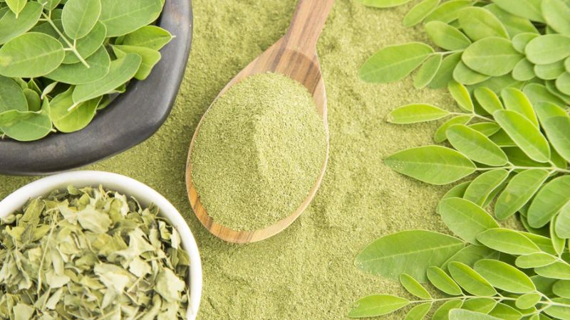 Bột chùm ngây làm tại nhà giàu dưỡng chất và tốt cho sức khỏe