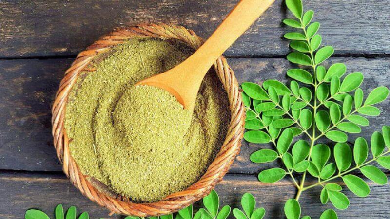 Bột chùm ngây có khả năng bảo vệ và phục hồi chức năng gan