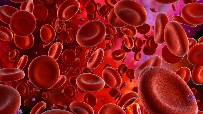 Quá liều vitamin E có thể làm giảm khả năng đông máu của cơ thể