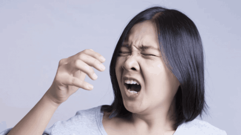 Cây ké đầu ngựa giúp ngăn chặn các triệu chứng dị ứng như hắt hơi và chảy nước mũi