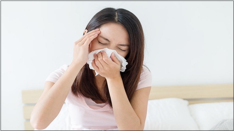 Cây ké đầu ngựa được sử dụng trong bài thuốc trị chảy nước mũi