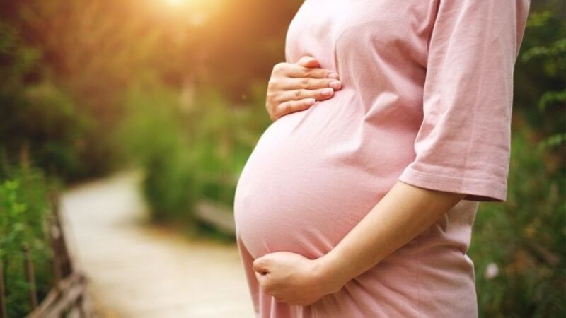 Phụ nữ có thai không được sử dụng cây ké đầu ngựa