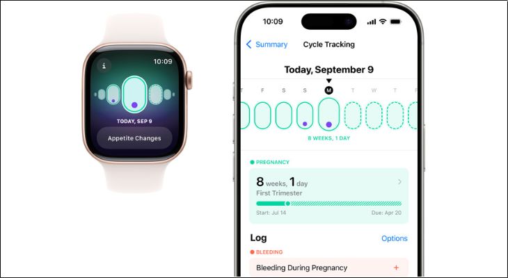 Ứng dụng Theo Dõi Chu Kỳ trên Apple Watch giúp ước tính tuổi thai, theo dõi suốt quá trình mang thai