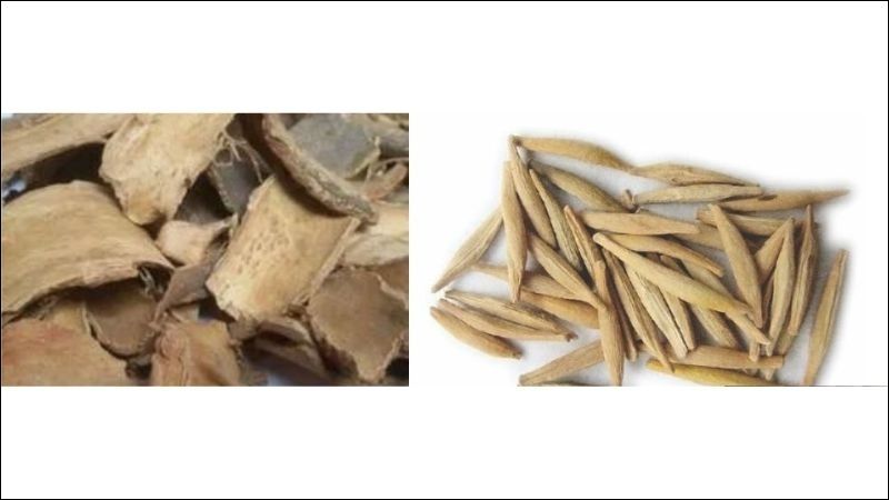 Bộ phận chính được sử dụng làm vị thuốc của cây mộc hoa trắng là hạt và vỏ thân
