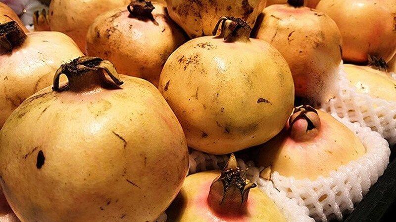 Chọn những quả lựu chín, màu đậm, hơi vuông và không bị dập