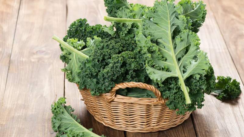 100g cải xoăn nấu chín có chứa đến 150mg canxi