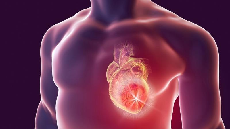 Vitamin E giúp bảo vệ tim và ngăn ngừa bệnh tim mạch vành
