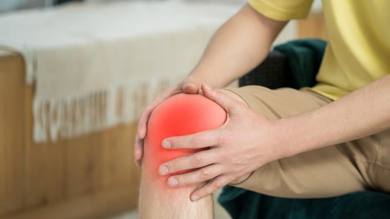 Cây thanh táo có tác dụng ức chế sưng viêm và giảm các dấu hiệu viêm nhiễm