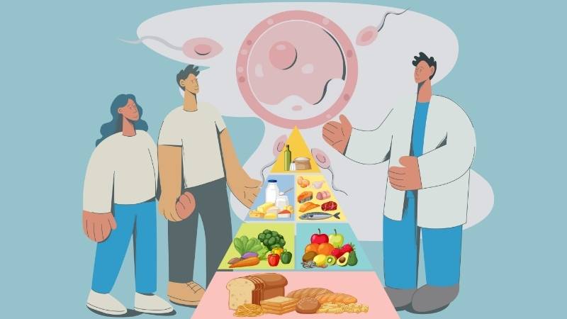 Chế độ ăn uống cân bằng có thể hỗ trợ cho quá trình làm tổ của phôi