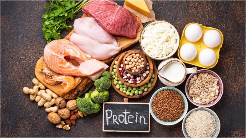 Protein là một dưỡng chất thiết yếu hỗ trợ sự phát triển của phôi
