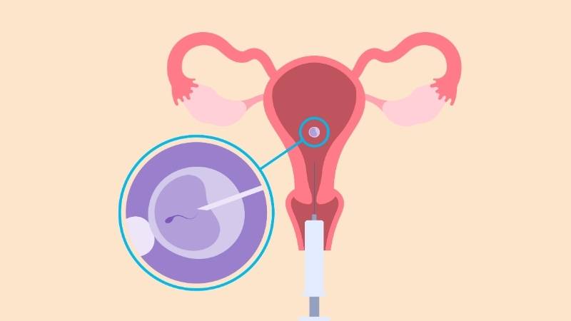 Một chế độ ăn uống hợp lý giúp thúc đẩy quá trình làm tổ của phôi