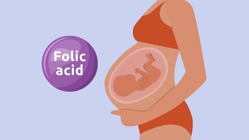 Axit folic là dưỡng chất cần thiết cho sự phát triển của thai nhi
