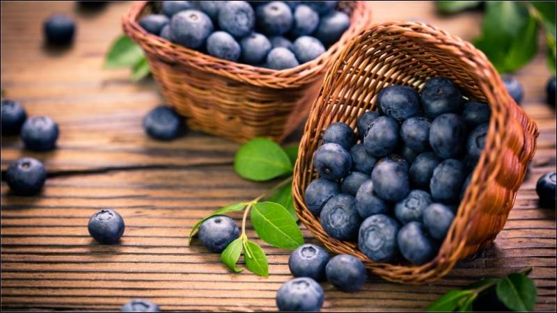 Việt quất giúp giảm căng thẳng và mệt mỏi trong giai đoạn cho con bú