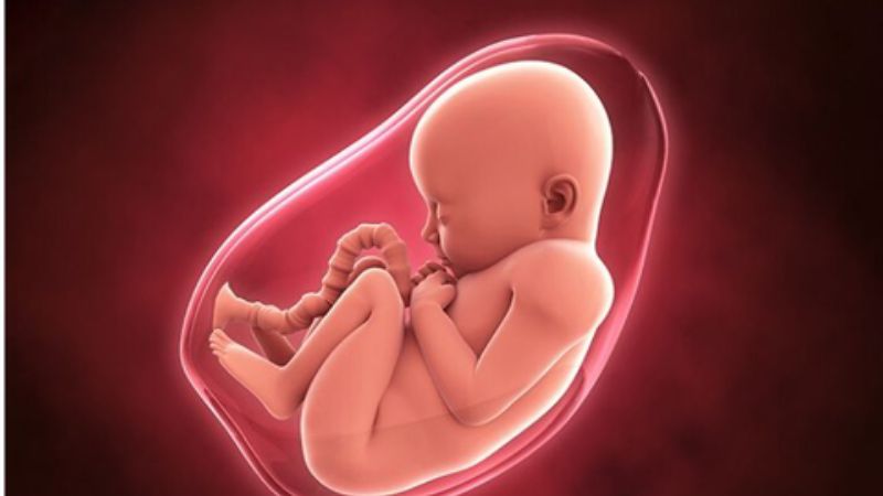 Mẹ mất ngủ có thể khiến cho bé thiếu máu bẩm sinh Mẹ mất ngủ có thể khiến cho bé thiếu máu bẩm sinh