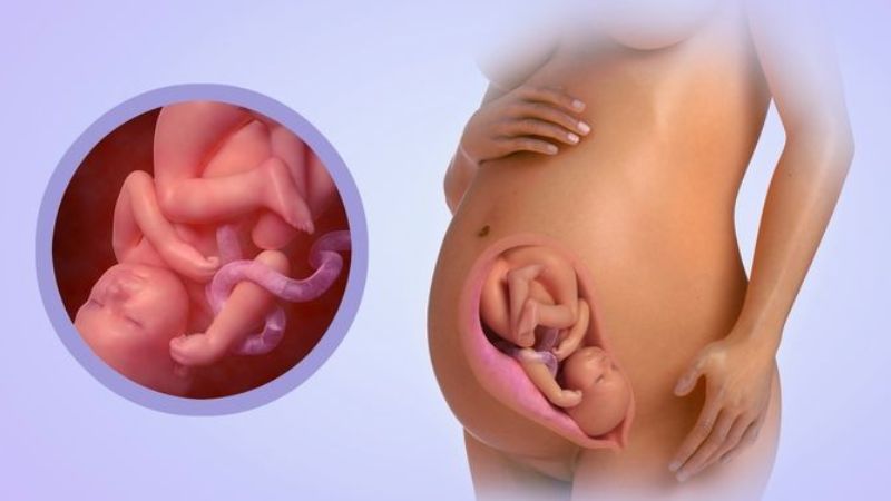 Mẹ mất ngủ có thể khiến cho bé chậm phát triển Mẹ mất ngủ có thể khiến cho bé chậm phát triển