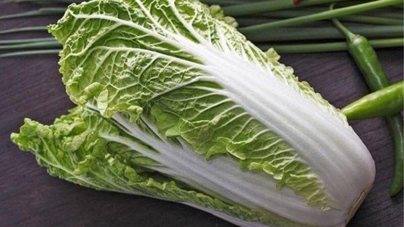 Cải thảo là thực phẩm lý tưởng cho những ai đang muốn giảm cân nhờ lượng calo thấp và giàu chất xơ