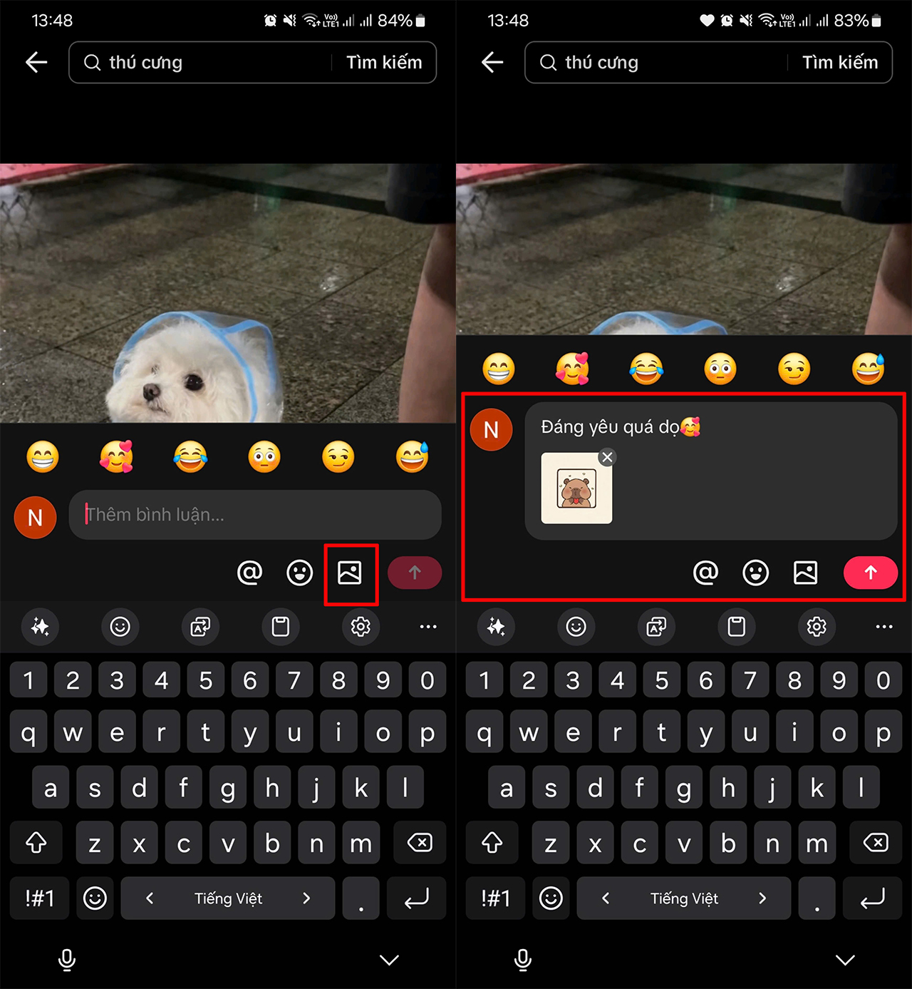 Cách bình luận bằng ảnh trên TikTok Cách bình luận bằng ảnh trên TikTok