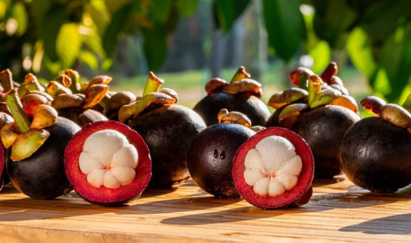 Hình ảnh quả măng cụt