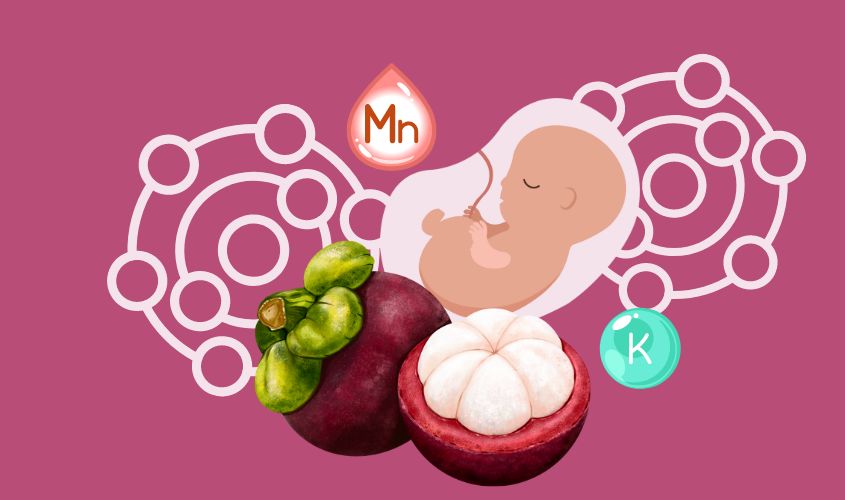 Hình ảnh quả măng cụt có tác dụng giúp thai nhi phát triển toàn diện