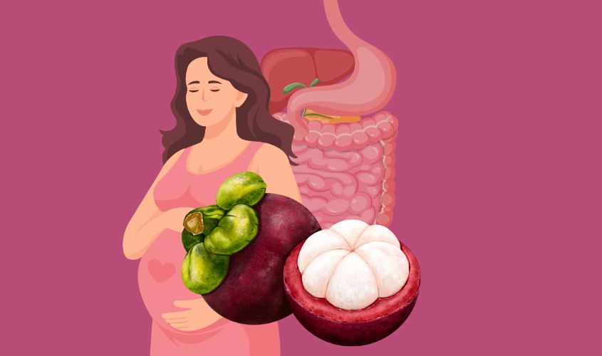 Hình ảnh trái măng cụt có tác dụng hỗ trợ hệ tiêu hóa của mẹ và ngăn ngừa táo bón