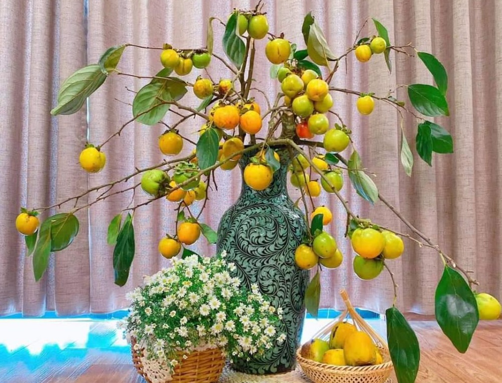 Chọn những cành hồng khỏe, quả tươi