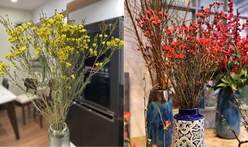 Cắm hoa thanh liễu trang trí trong nhà