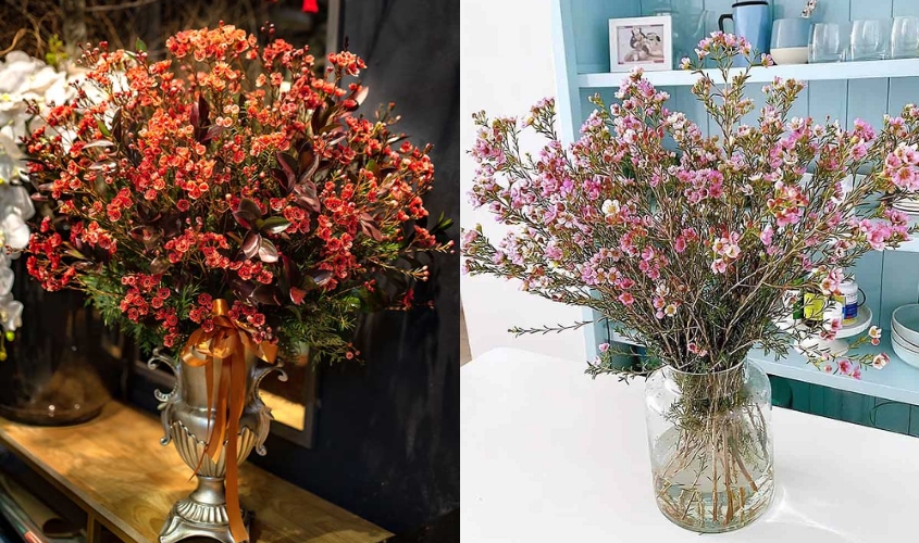 Cắm hoa thanh liễu đơn giản nhưng vẫn đẹp, sang trọng