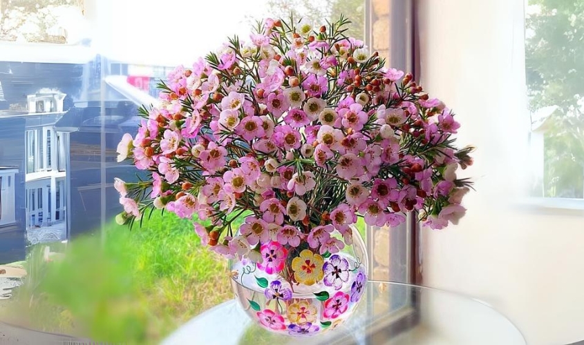 Cắm hoa thanh liễu với bình thấp