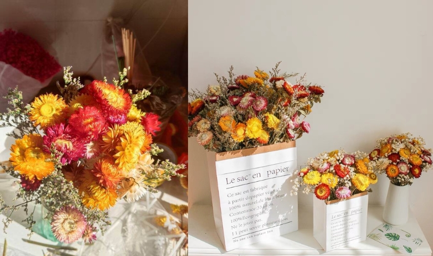 Cắm hoa bất tử khô vẫn giữ được màu sắc bền đẹp như hoa tươi