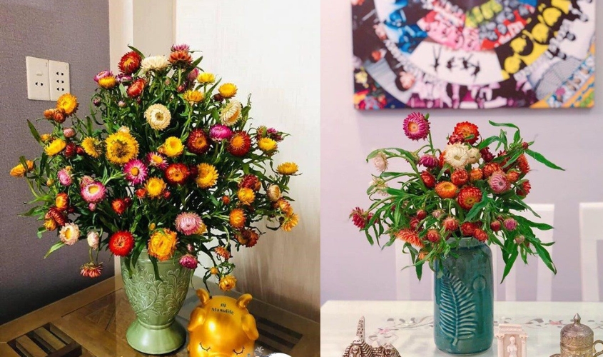 Hướng dẫn cắm hoa tươi bất tử