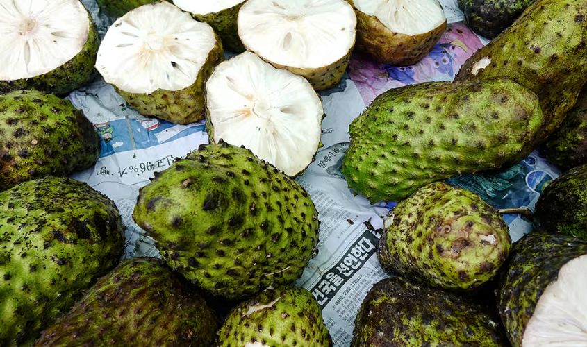 Hình ảnh quả mãng cầu gai tốt cho sức khỏe