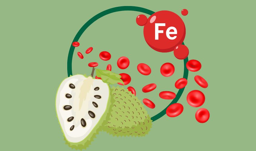 Hình ảnh thể hiện mãng cầu tốt cho máu và bổ sung sắt