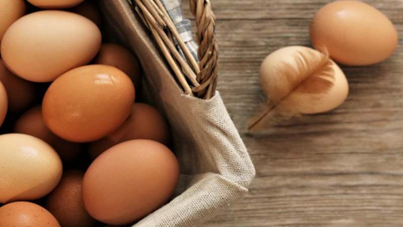 Trứng là một nguồn choline quan trọng trong việc phát triển não bộ trẻ em Trứng là một nguồn choline quan trọng trong việc phát triển não bộ trẻ em