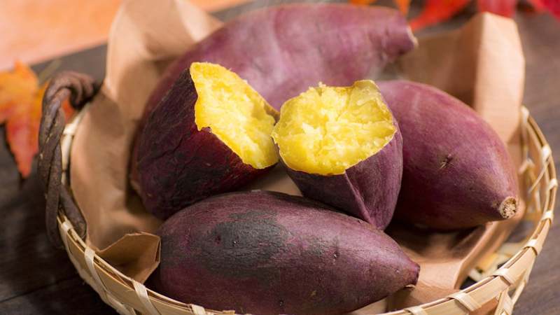 Khoai lang rất giàu beta-carotene cần thiết cho sự phát triển của em bé Khoai lang rất giàu beta-carotene cần thiết cho sự phát triển của em bé