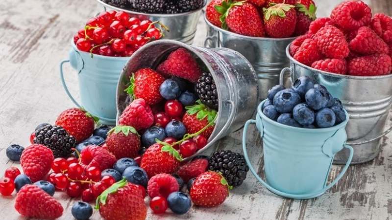 Các loại quả mọng cung cấp nhiều dưỡng chất cần thiết cho cơ thể thai phụ Các loại quả mọng cung cấp nhiều dưỡng chất cần thiết cho cơ thể thai phụ
