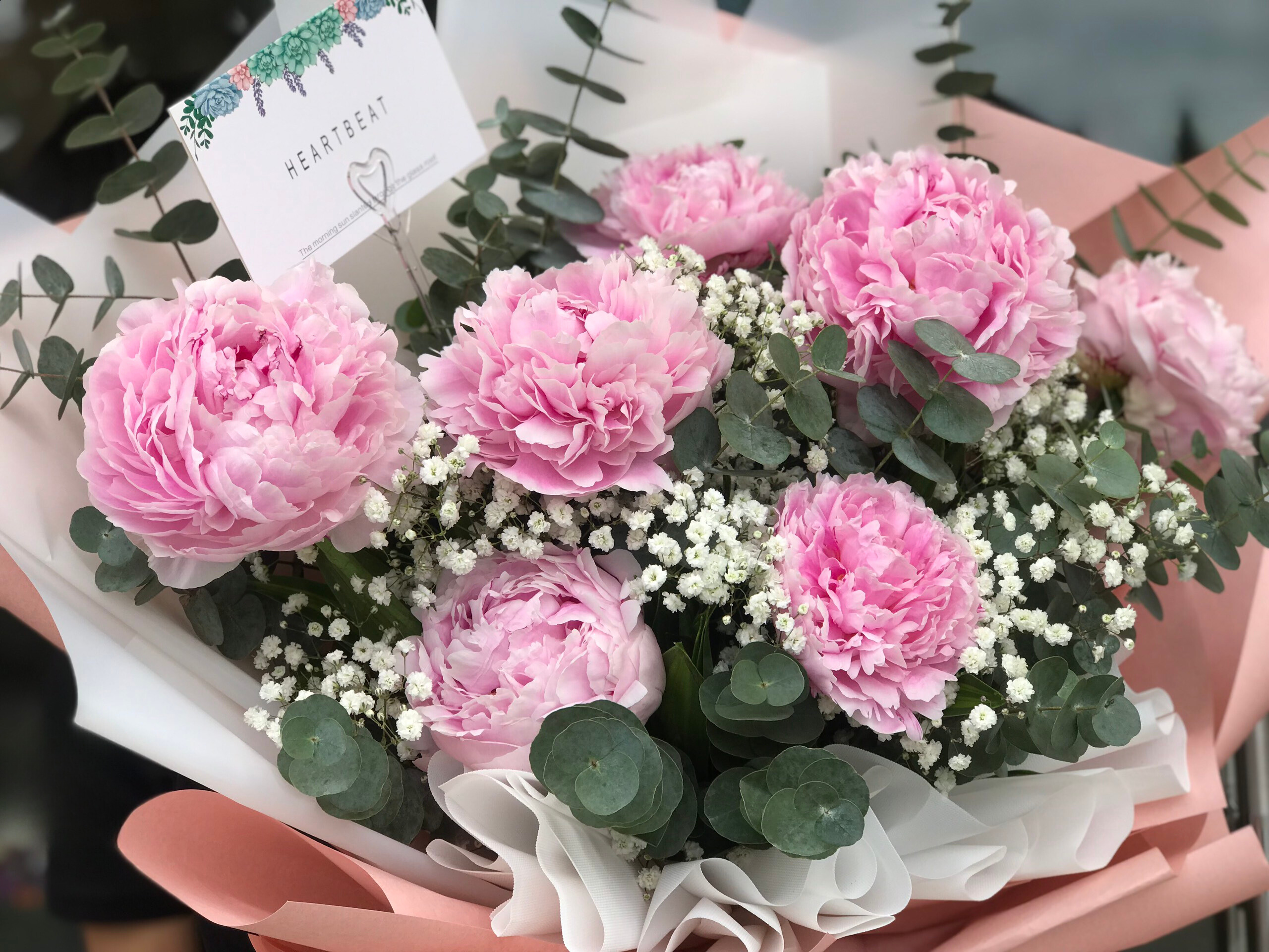 Chọn cánh hoa mẫu đơn tươi có màu sắc sặc sỡ, không bị nhăn, úa vàn