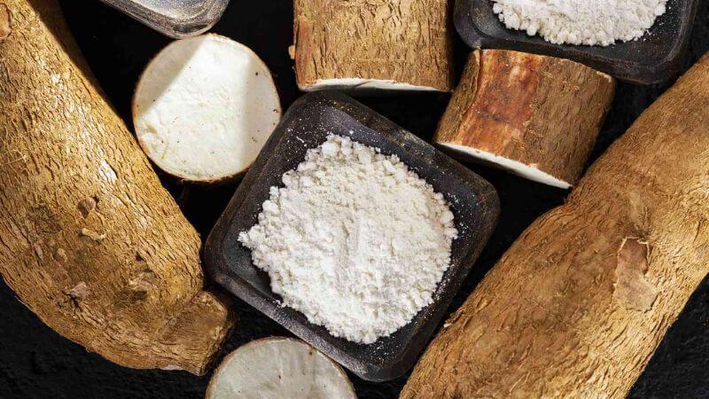 Việc tiêu thụ sắn đều đặn có thể giúp duy trì cấu trúc xương chắc khỏe, đồng thời hỗ trợ quá trình tái tạo mô cơ và da Việc tiêu thụ sắn đều đặn có thể giúp duy trì cấu trúc xương chắc khỏe, đồng thời hỗ trợ quá trình tái tạo mô cơ và da
