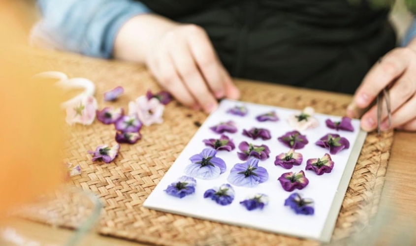 Hoa khô có tuổi thọ cao và dễ bảo quản hơn so với hoa tươi