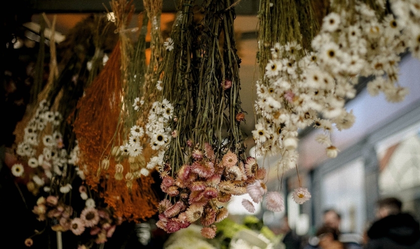 Hoa khô treo ngược hong gió dễ làm, bền màu