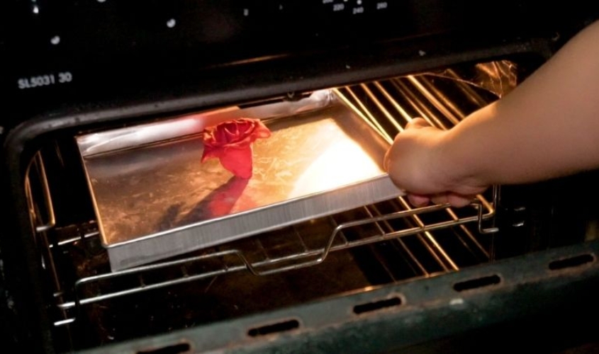 Làm hoa khô bằng lò vi sóng đơn giản, nhanh chóng