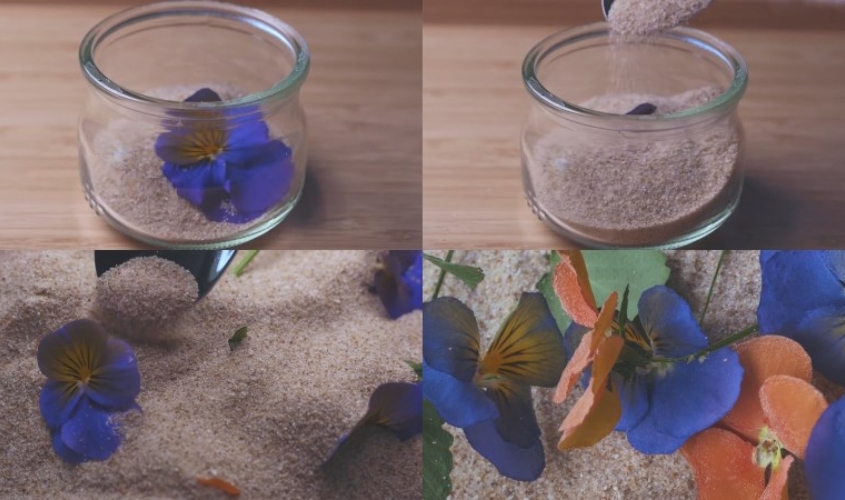 Làm hoa khô bằng cát biển độc đáo, giữ được lâu